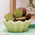 Power matcha balls. photo credit yoursuper.com